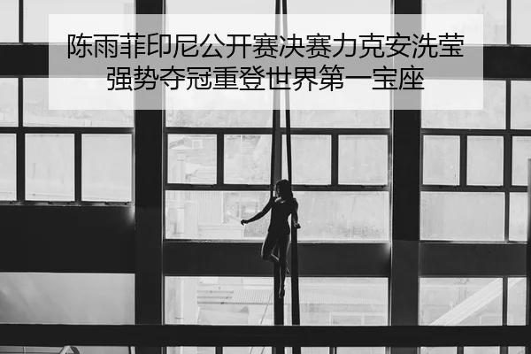 陈雨菲印尼公开赛决赛力克安洗莹 强势夺冠重登世界第一宝座